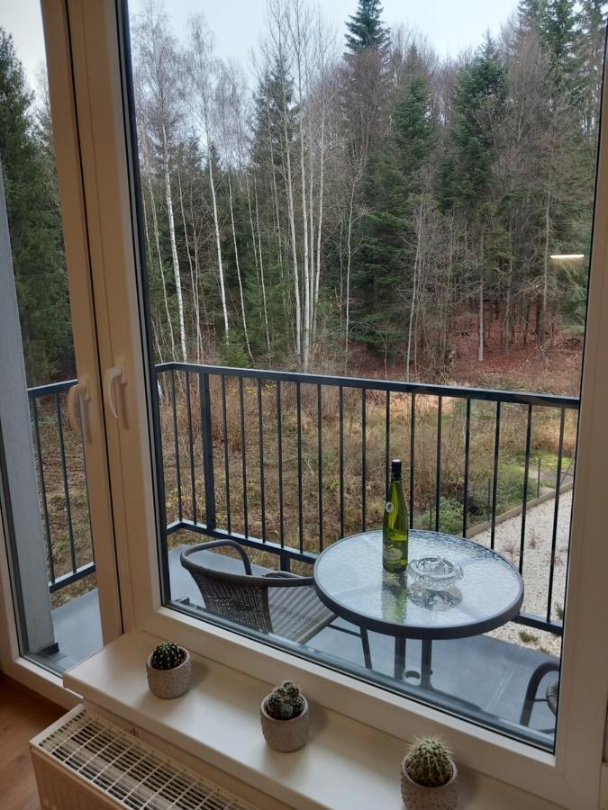 Appartement Atelier 38 à Mariánské Lázně Extérieur photo